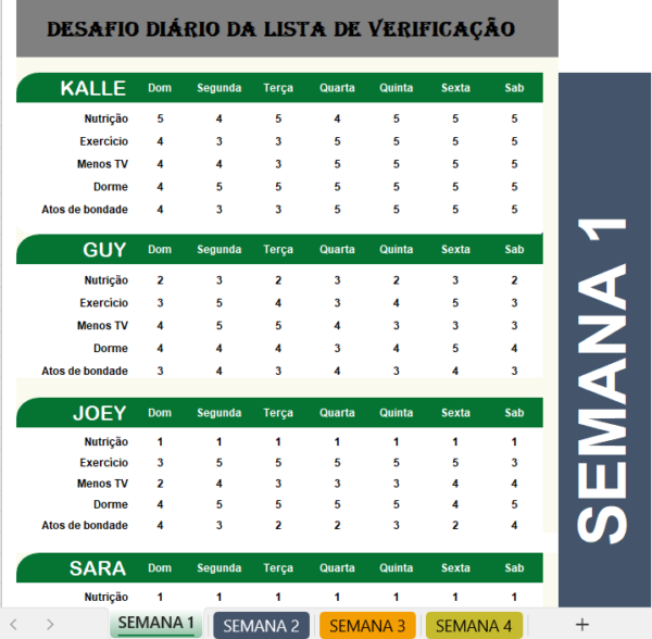 Desafio da lista de verificação diária em Excel para organização e produtividade